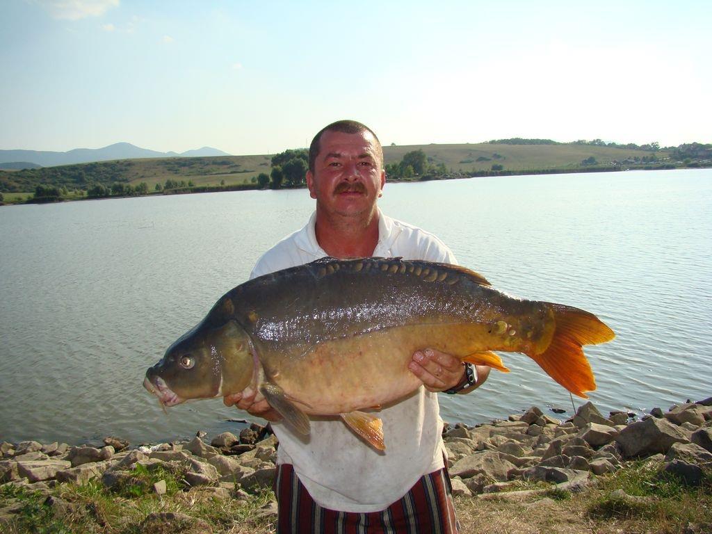 Cipibaits - 00106556.jpg